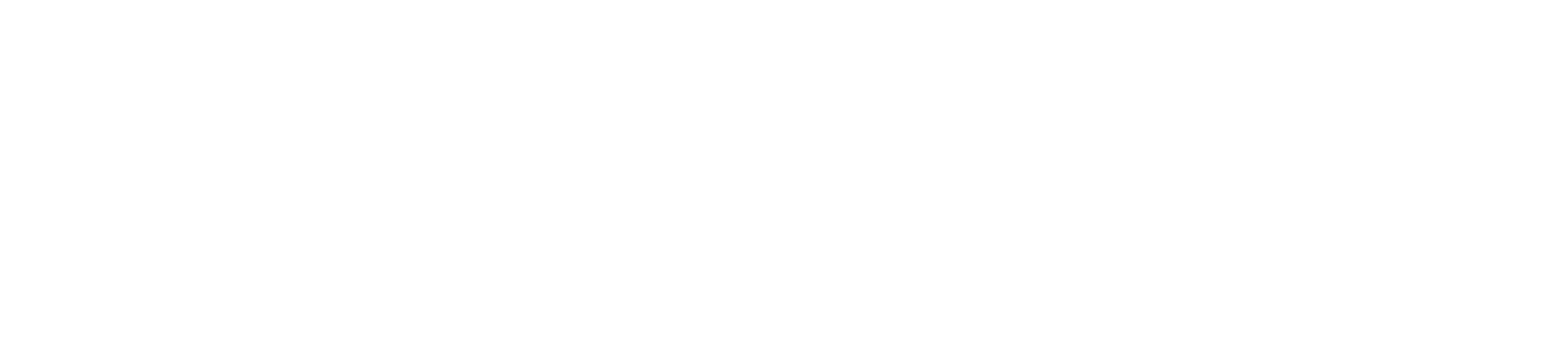 HOLOPHONIX Logo